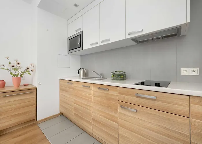 Apartamento Air Conditioned In Center With Parking By Renters Wrocław