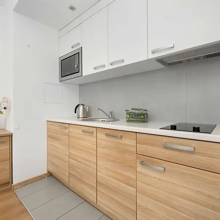 شقة Air Conditioned In Center With Parking By Renters فروتسواف